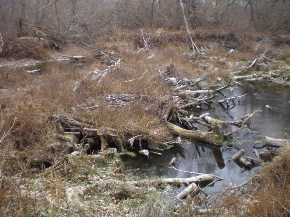 Зникає річка Сула! – Регіональний офіс водних ресурсів у Полтавській області
